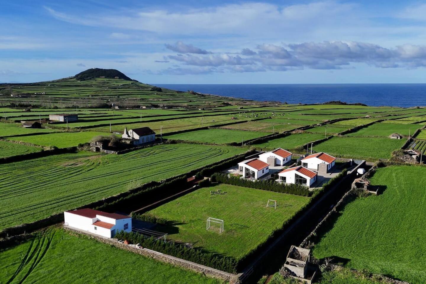 Wine House By Ponta Negra Azores Altares Dış mekan fotoğraf