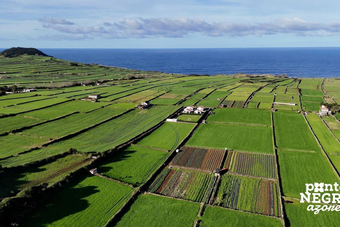 Wine House By Ponta Negra Azores Altares Dış mekan fotoğraf